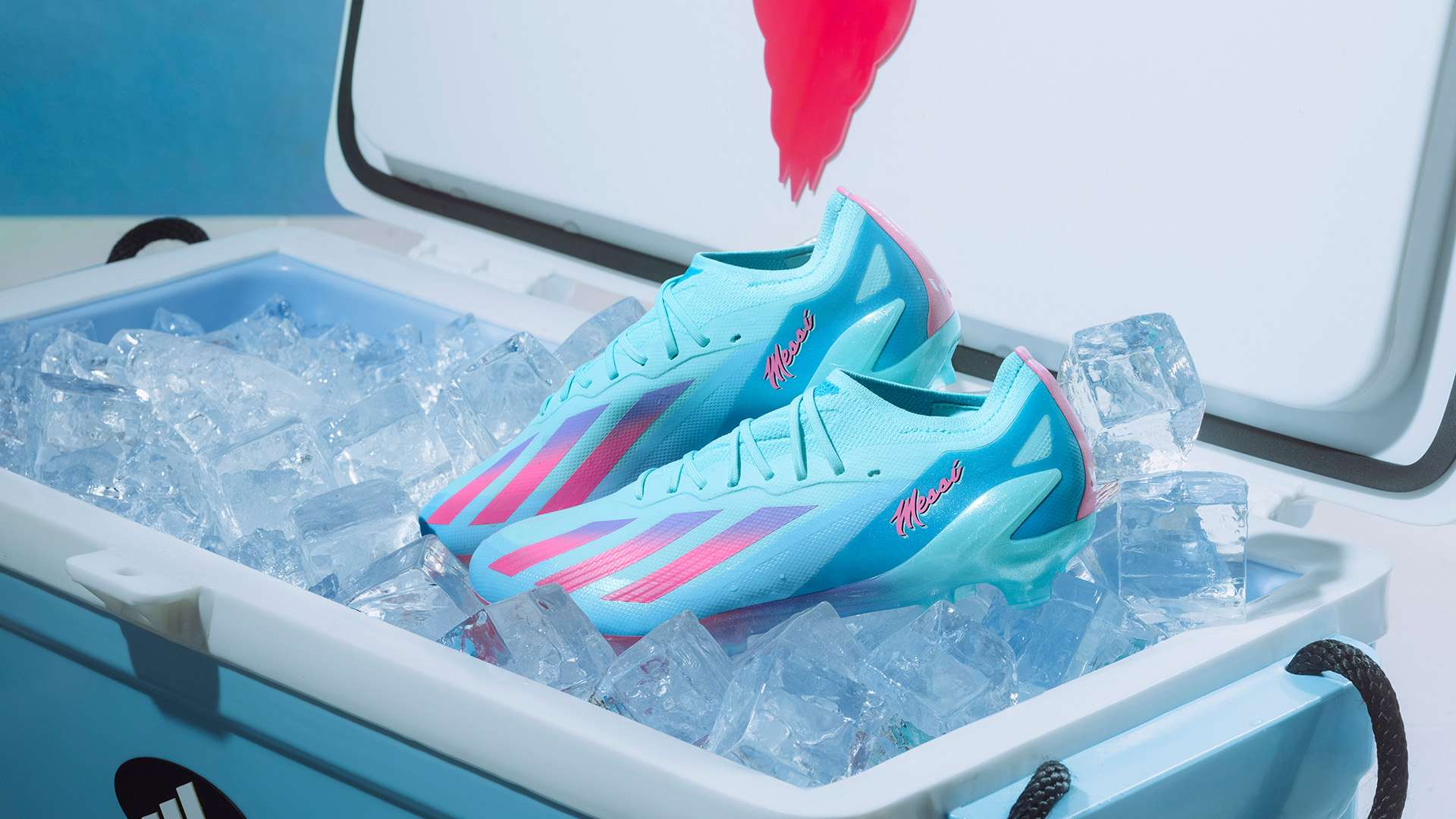 从稚嫩的青 从稚嫩的青