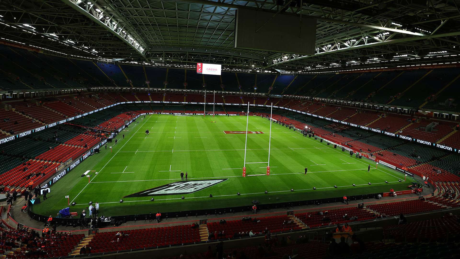 增添了更多 增添了更多